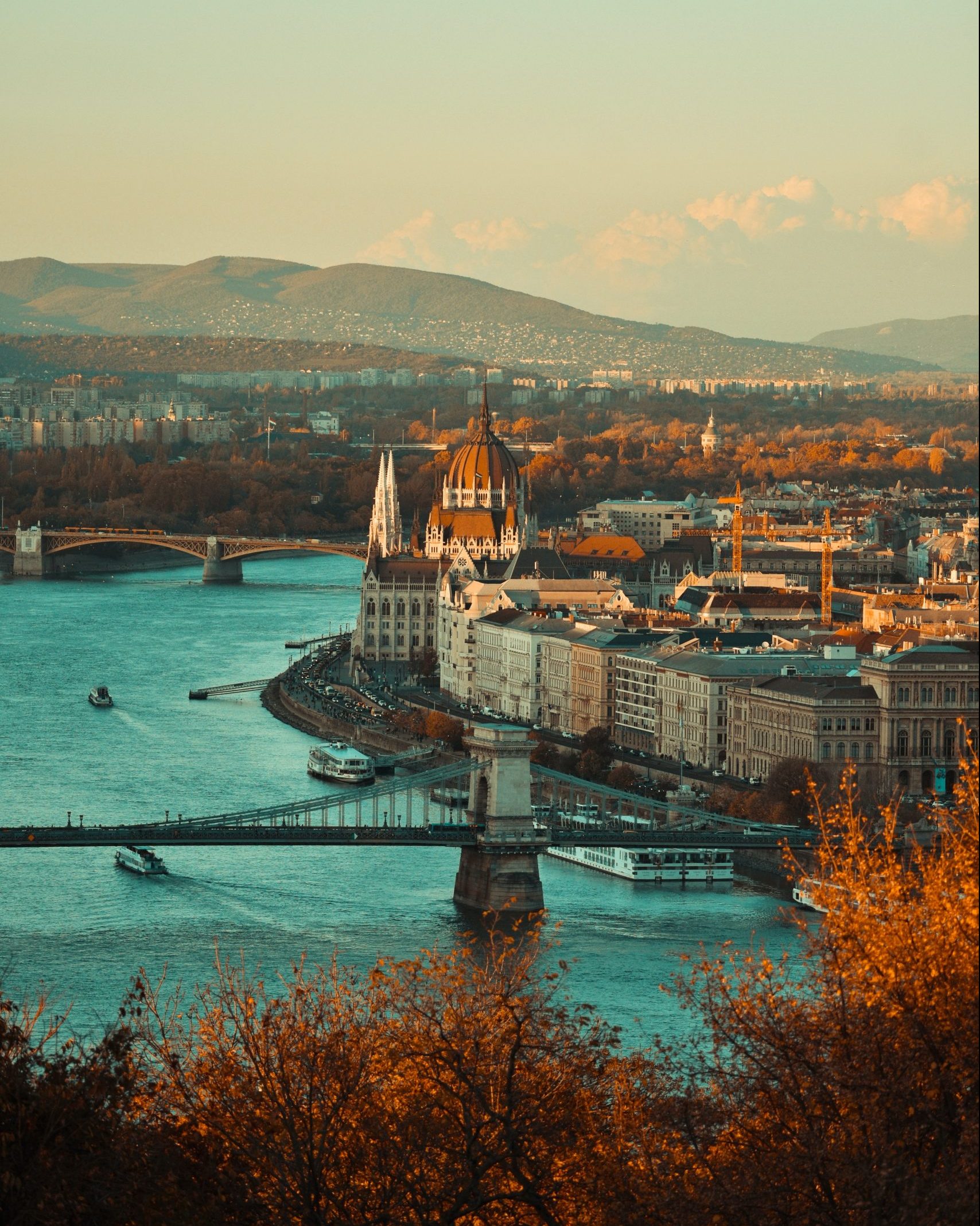 pexels-timi-keszthelyi-2350351